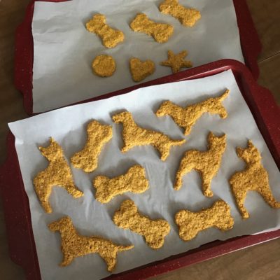 doggie cookie shapes