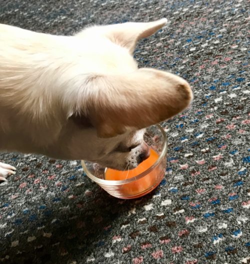 drinks carrot juice